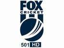 Fox Cricket 501